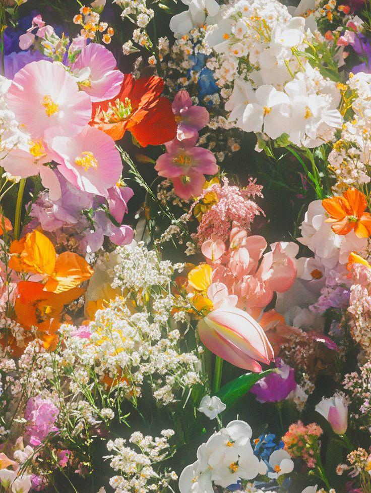 Example of a corporate floral consultation